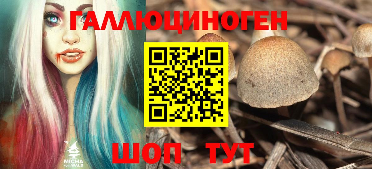 Псилоцибиновые грибы Cubensis Шатура