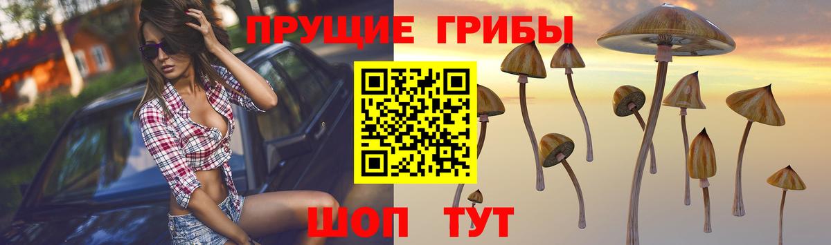 Псилоцибиновые грибы Psilocybine cubensis  Псилоцибиновые грибы мухоморы  Шатура  Вход с VPN 